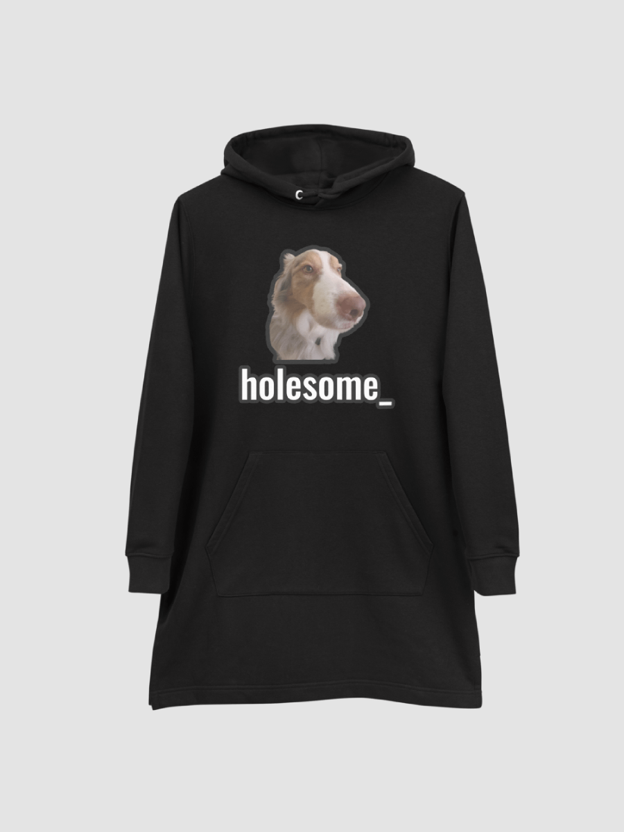 holesome Biggie Hoodie Dress product image (2)