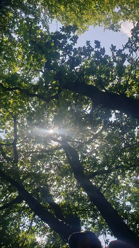Beautiful Nature.

#motherearth #mothernature #vanlifediaries #vanlife #vandweller #fulltimevanlife #fyp #vanlifediaries #man...
