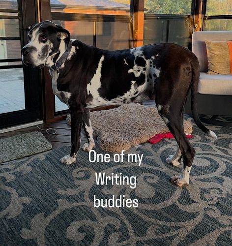 One of the guys who hangs around while I write.
#writingcommunity #cozymysteryauthorsofinstagram #paranormalcozymysteries