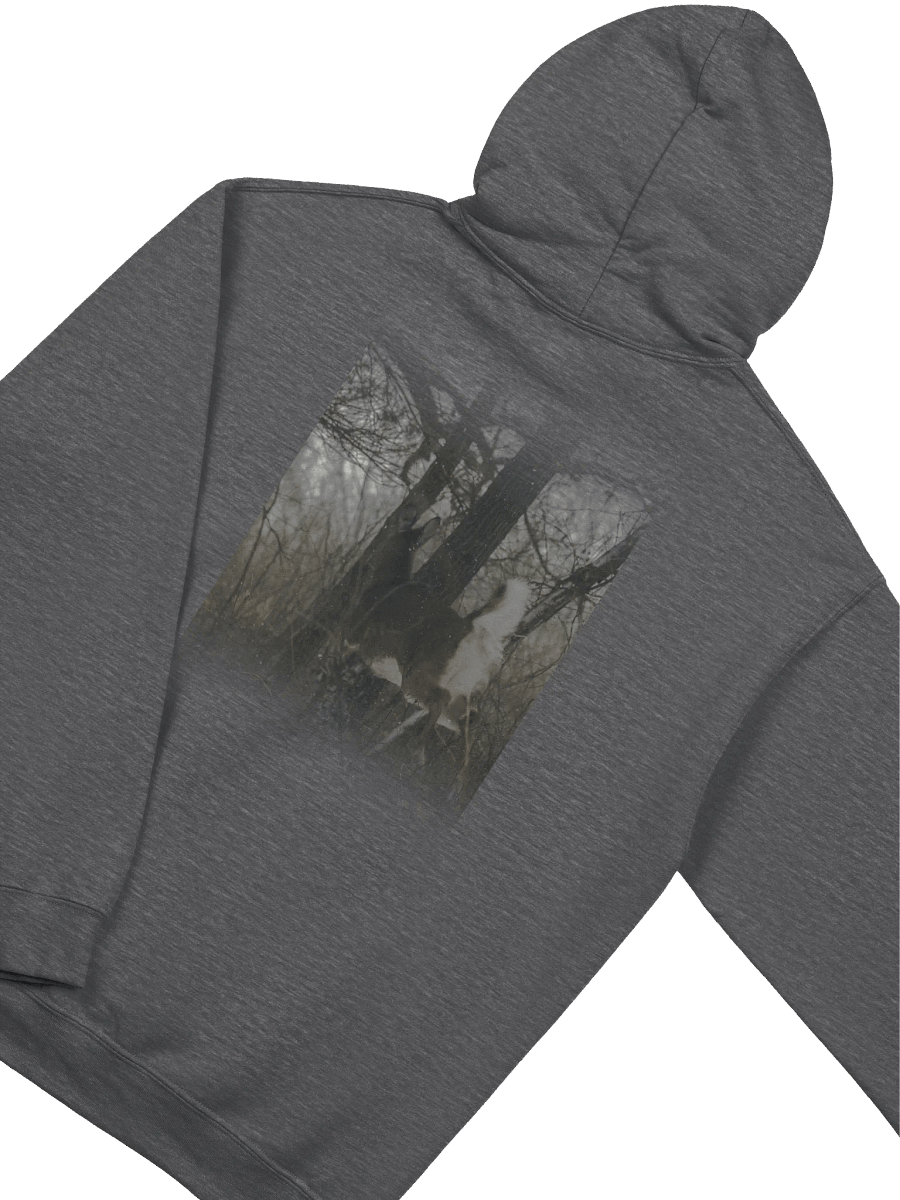 Elec Gateway Special Hoodie product image (4)