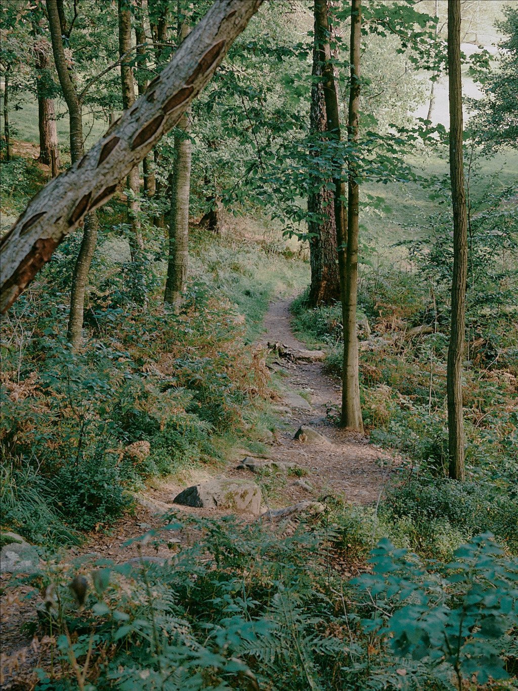 The Ordinary - Collection 01 product image (7)