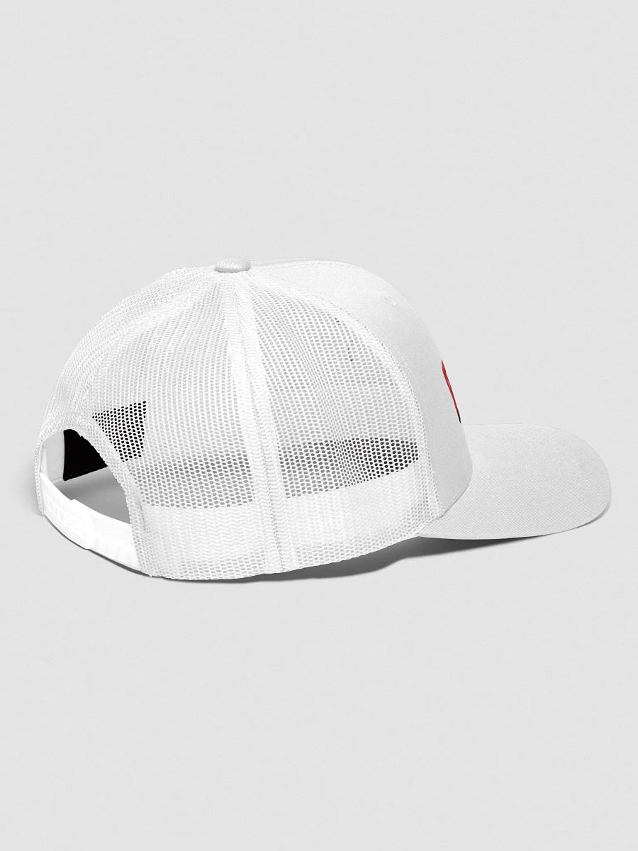 Audi 80 cabrio cap product image (3)