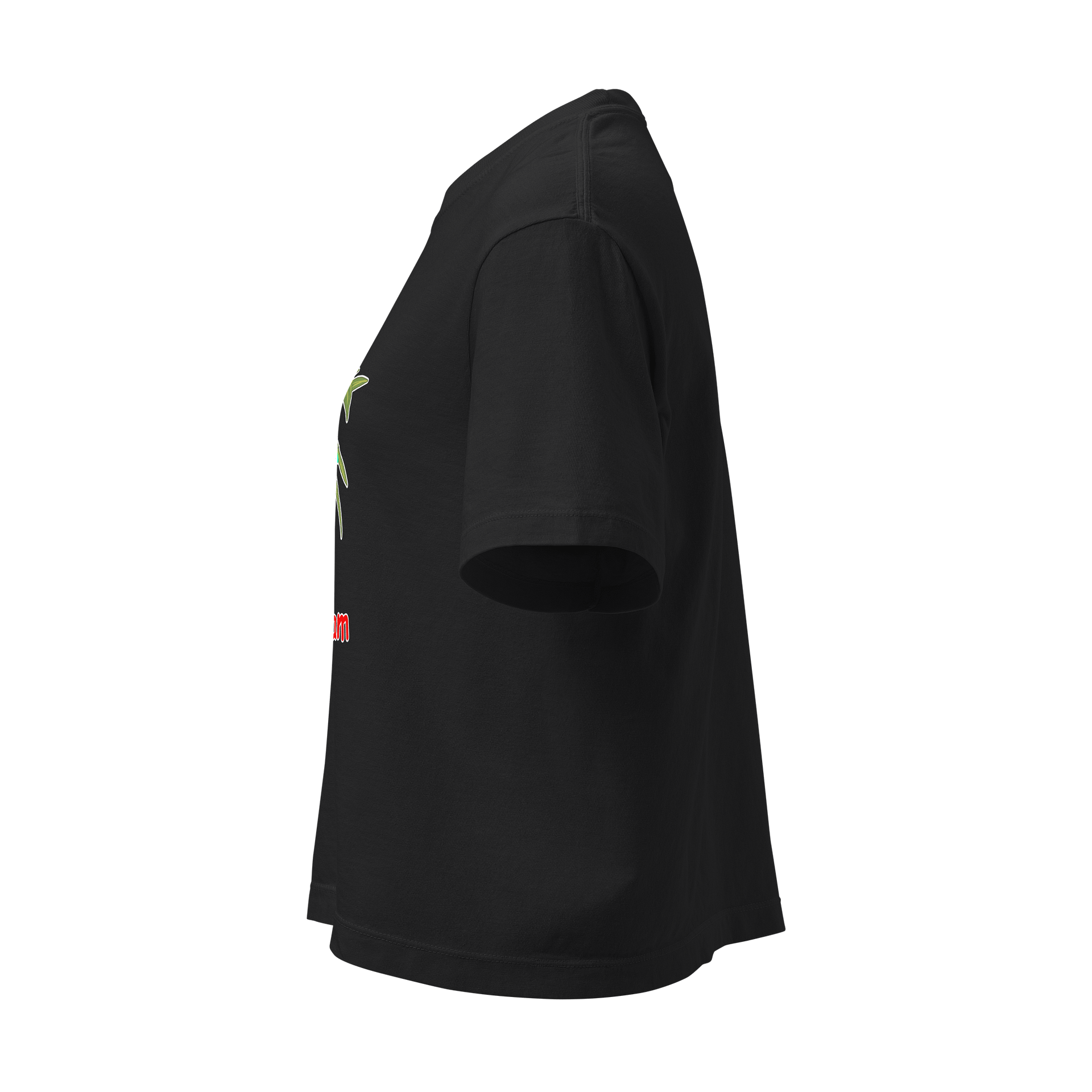 Women's Dragon Plant Christmas Lights Boxy Tee product image (7)