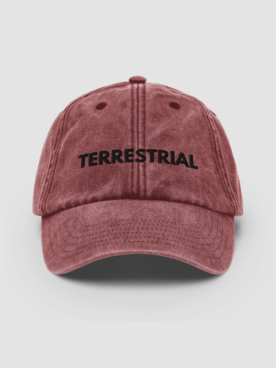 Classic Logo Distressed Hat product image (1)