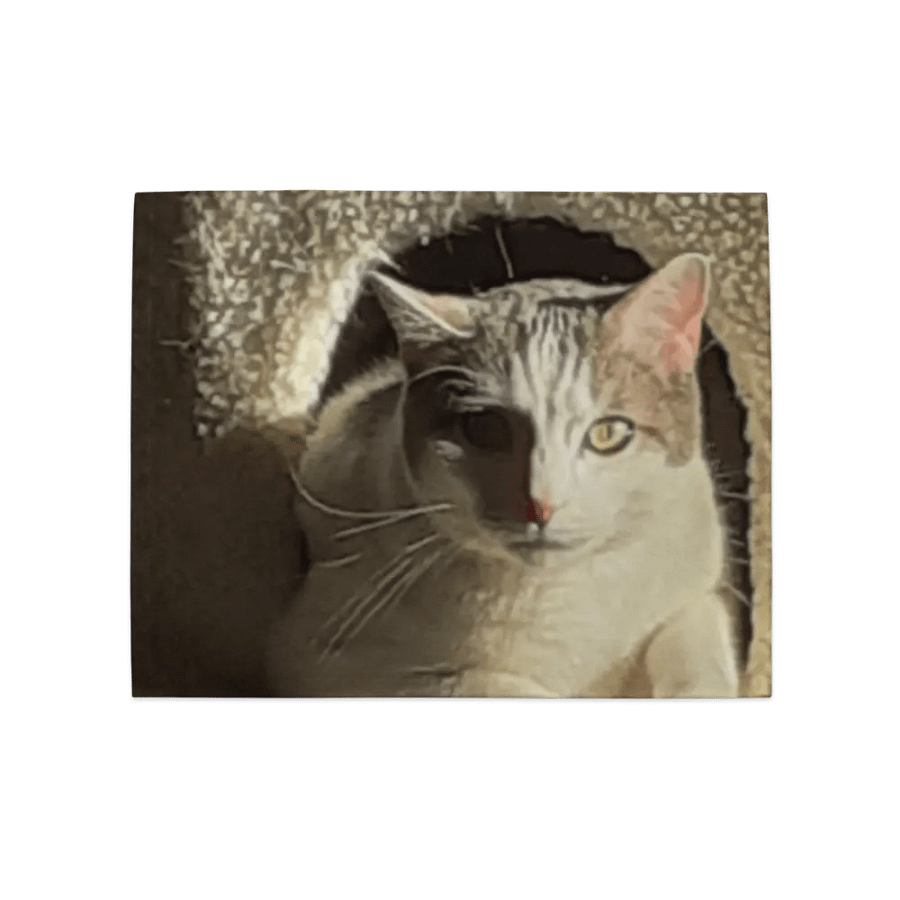 Cute Cats product image (5)
