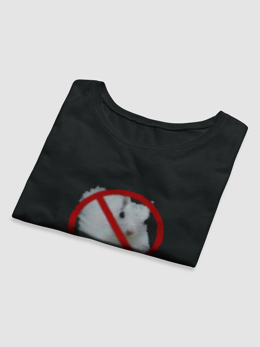 Eff Squirrels Crop Top product image (8)