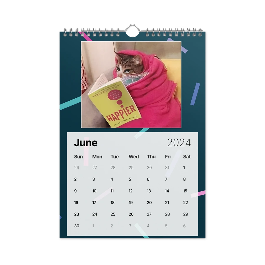 Wall Calendar (2024): Meme Cats product image (12)