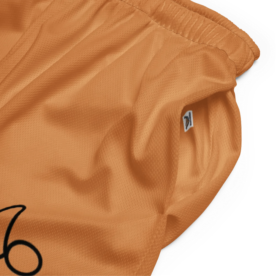 Capricorn Symbol Unisex Mesh Shorts product image (5)