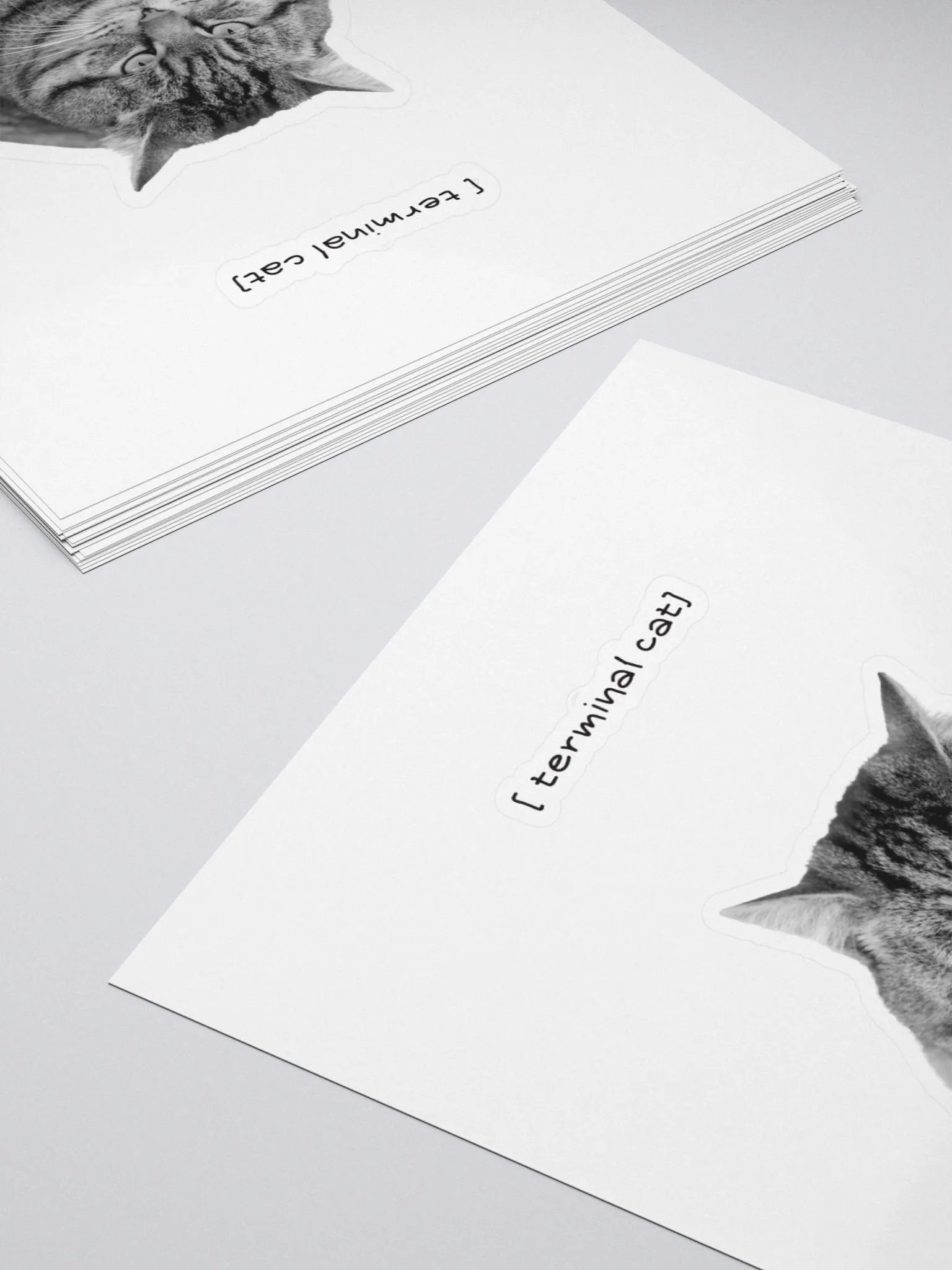 Terminal cat product image (4)