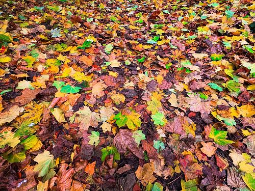 #autumn