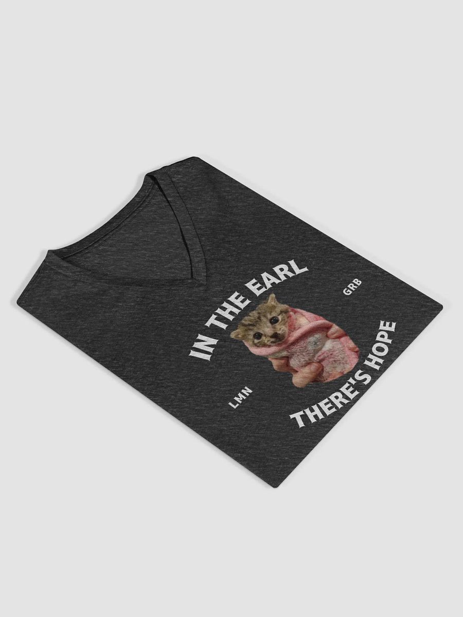 In The Earl There's Hope Women's V-Neck Tee product image (4)