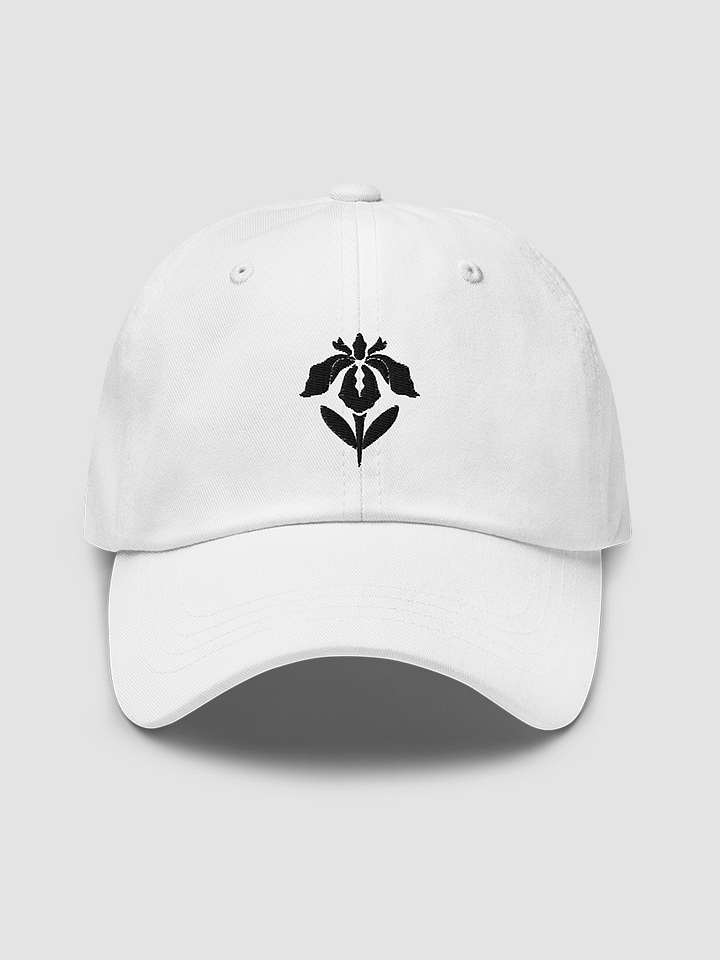 Embroidered Classic Dad Hat product image (1)