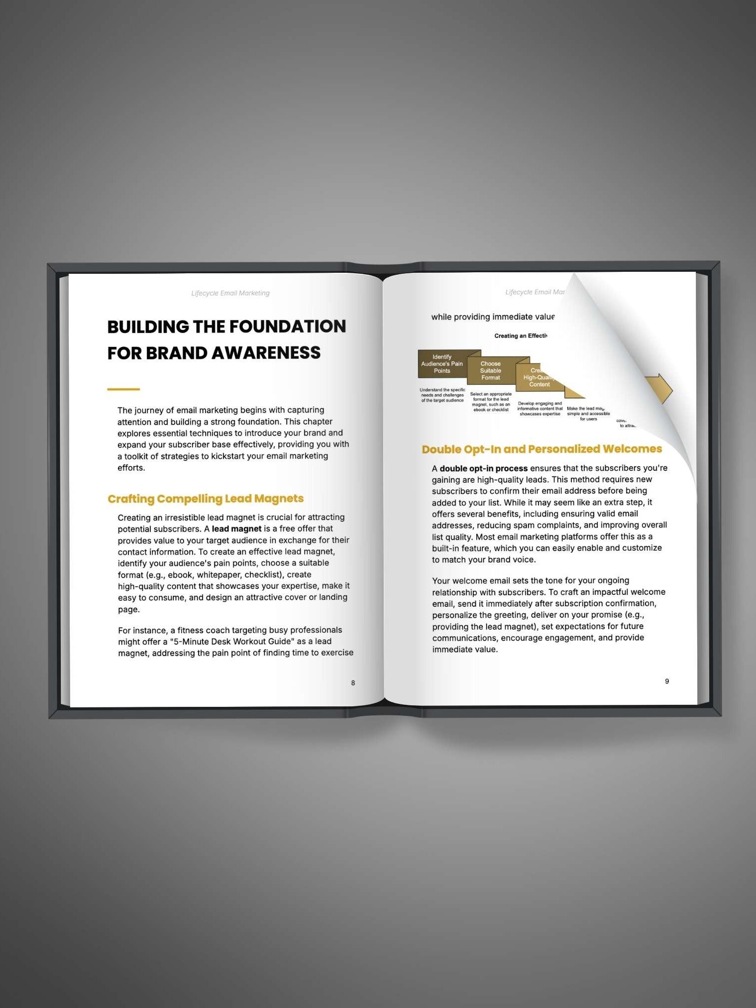 Lifecycle Email Marketing: Turn Leads Into Loyal Fans. product image (2)