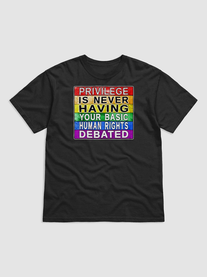 Privilege Is Never Having Your Basic Human Rights Debated T-Shirt product image (5)