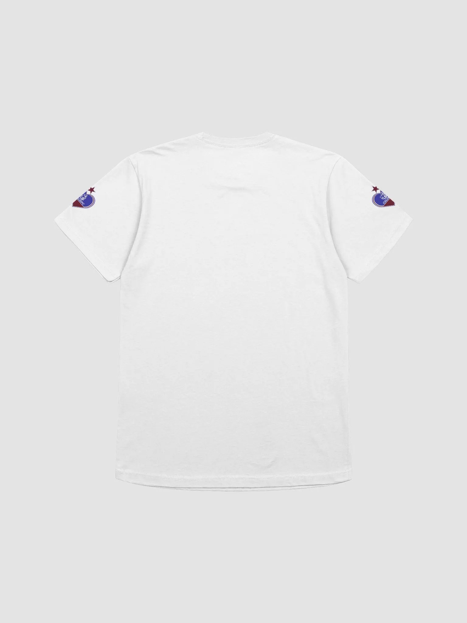 All Hail Turner T-shirt product image (2)