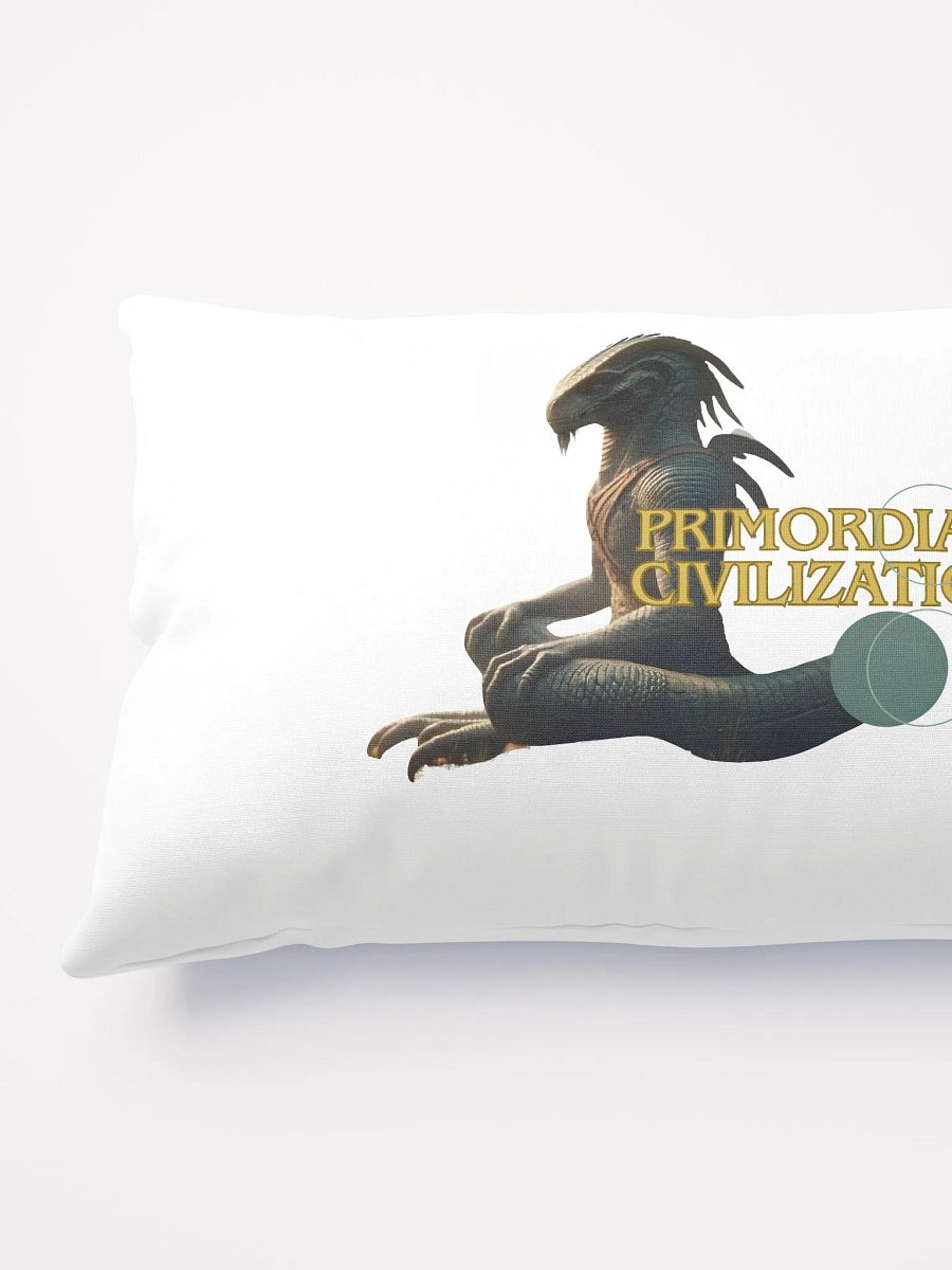 Coussin Déco 