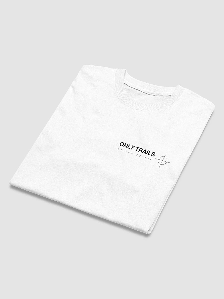 Backprint Coördinates - Oversized T-Shirt (Green Clue) product image (3)