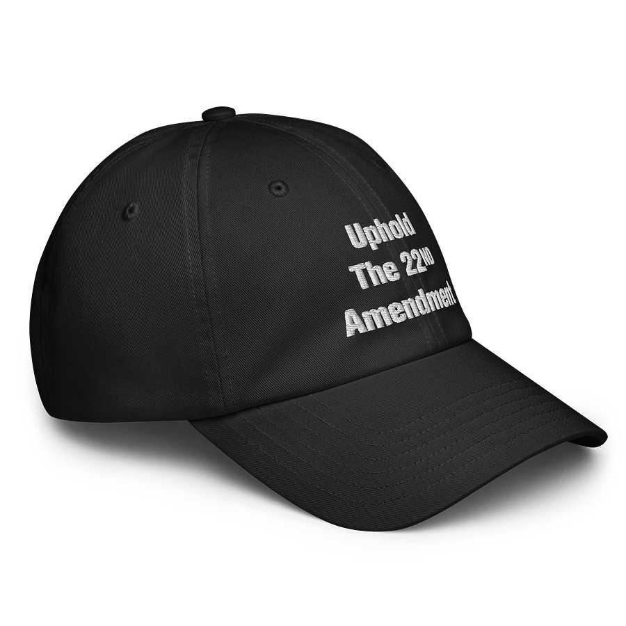 Uphold The 22nd Amendment Hat product image (4)