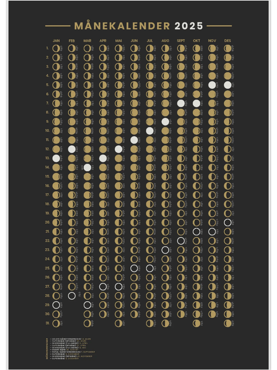 Månekalender 2025 - Bundle (Digital Download) product image (1)