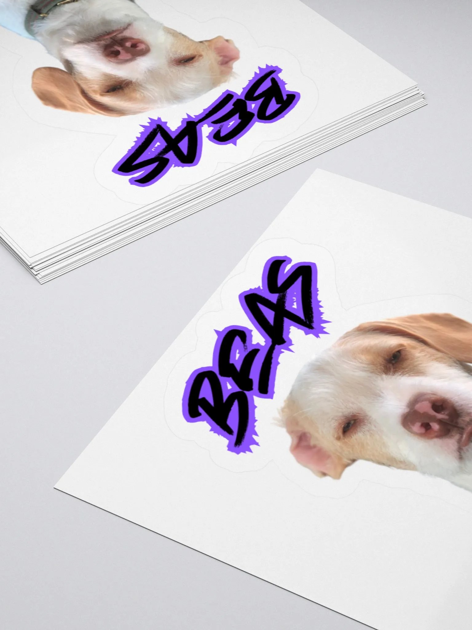 Beasley Judges You product image (7)
