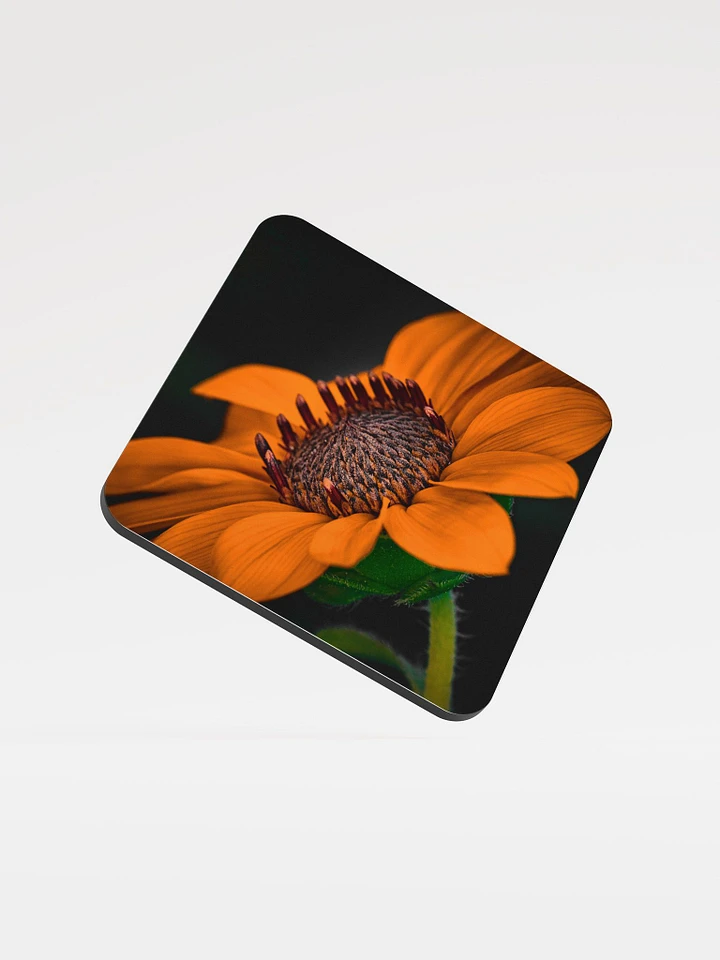 Orange You Glad Coaster product image (1)