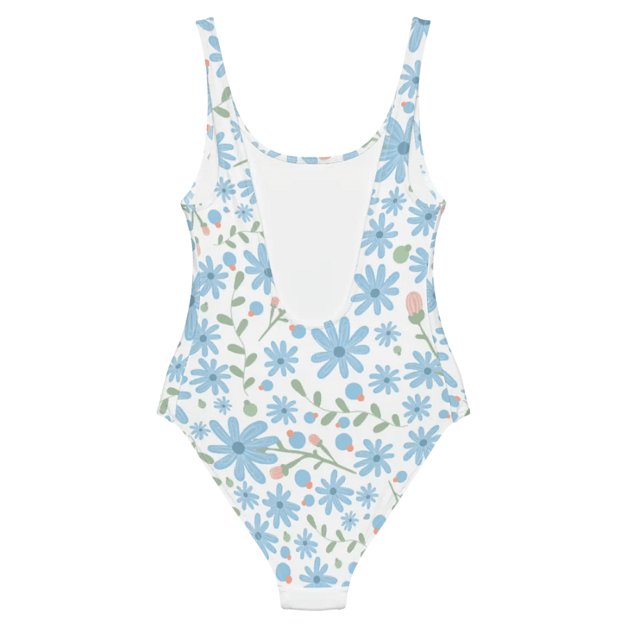 DizSea One Piece Swim Suit product image (7)