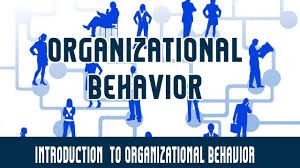 The Basics of Organizational Behavior and its Relation to Management-ppt product image (1)
