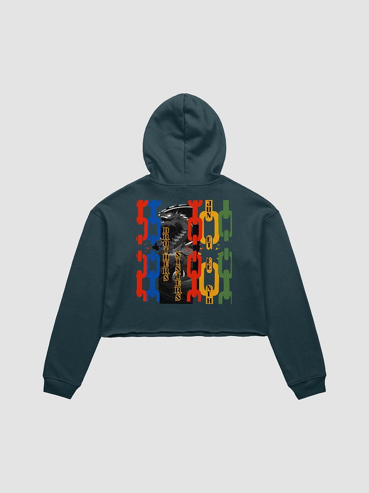 marked Juneteenth crop top hoodie product image (8)