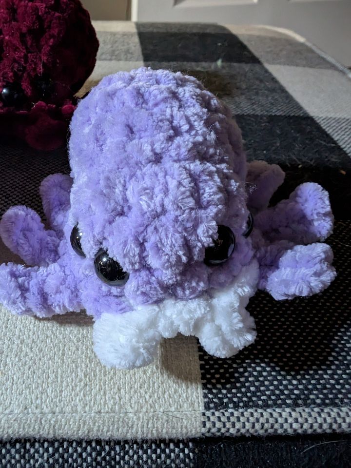 Spiders product image (2)