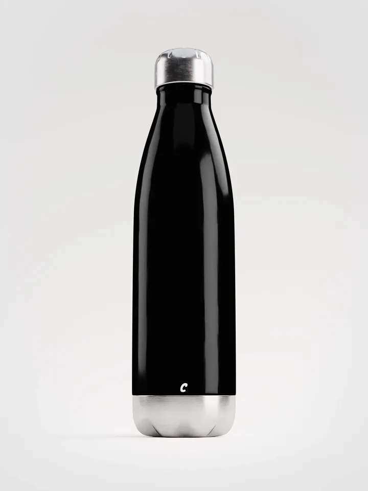 Stainless Steel Water Bottle product image (1)