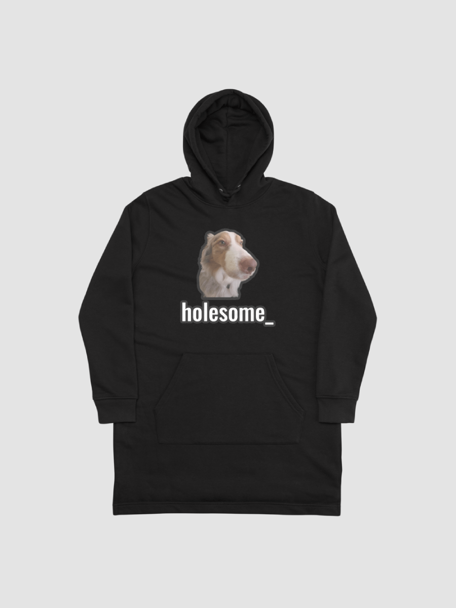 holesome Biggie Hoodie Dress product image (1)