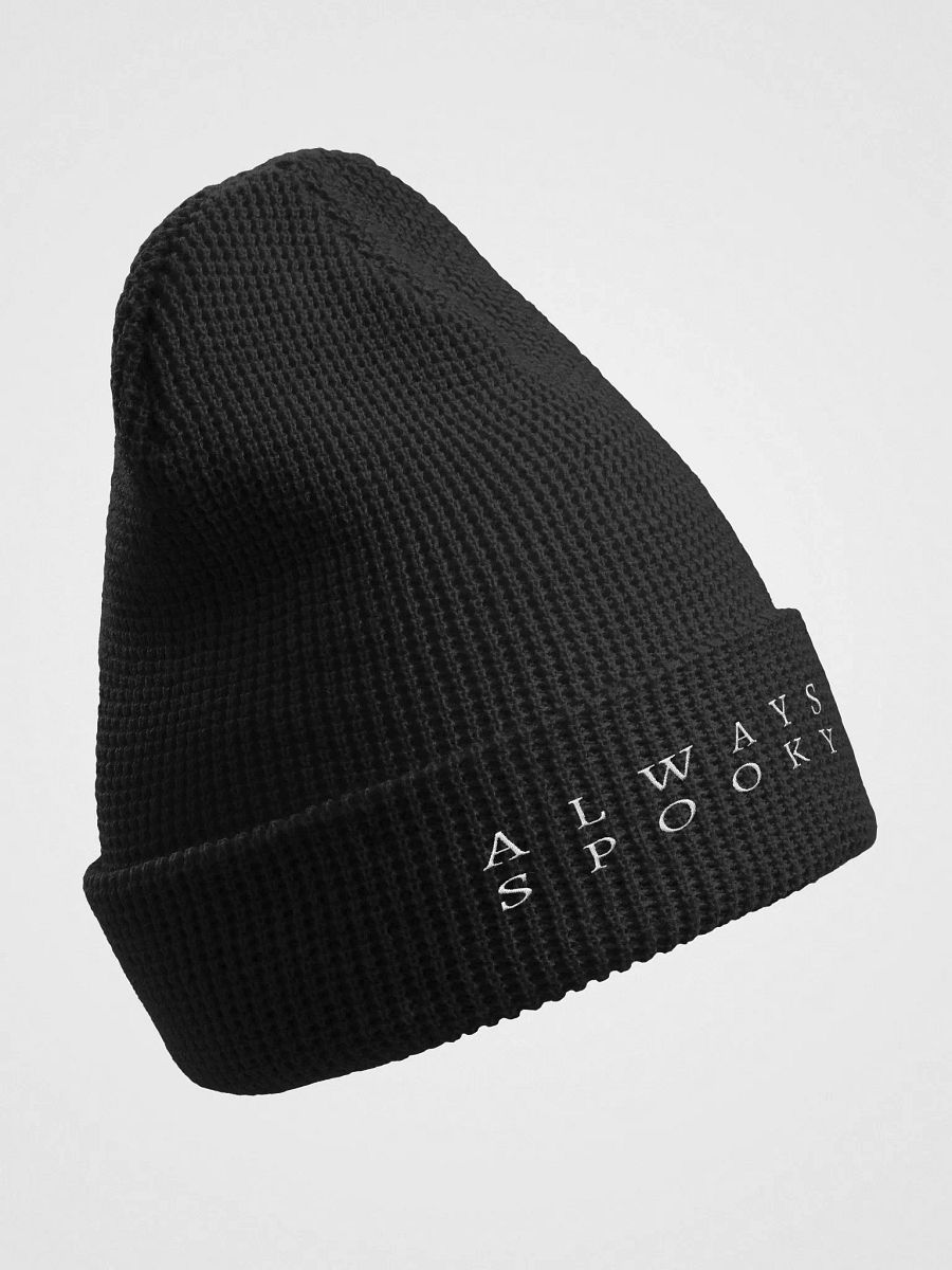 Cold Weather Beanie product image (4)