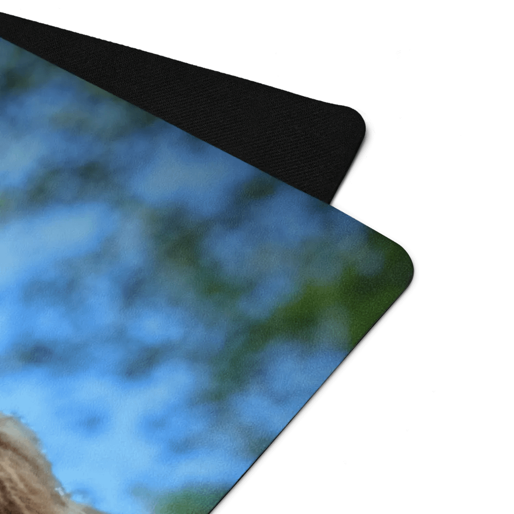 Maple Yoga product image (2)