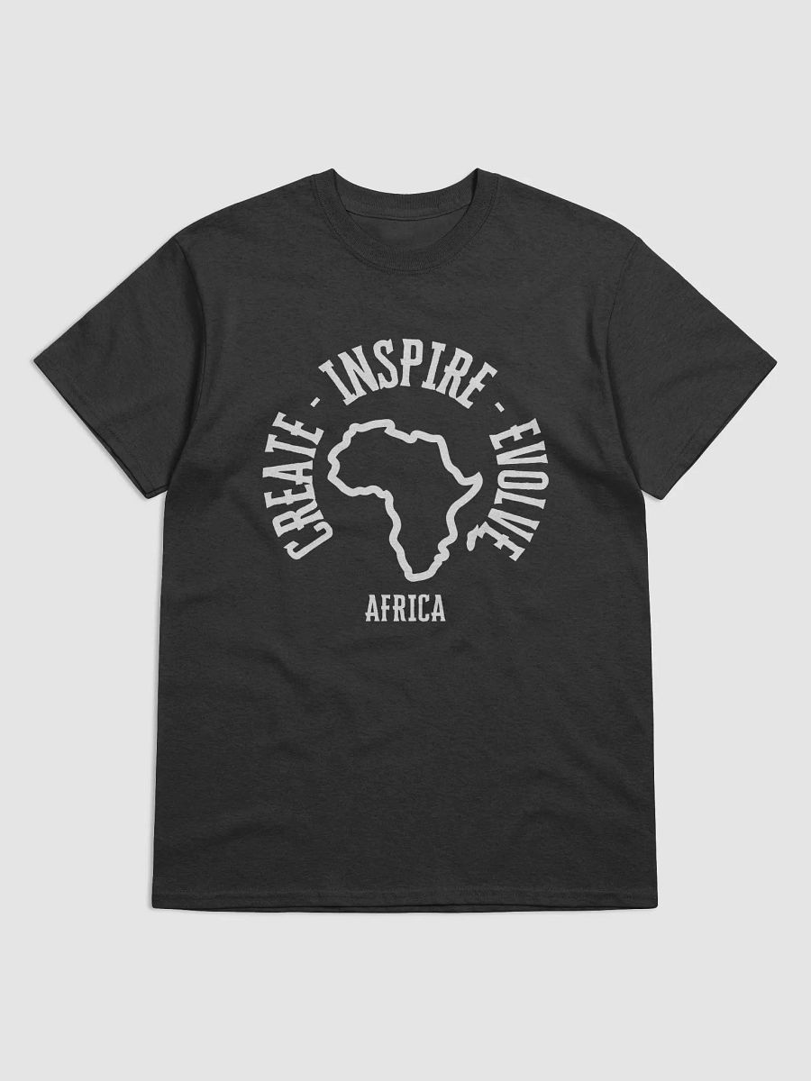 Evolve Africa product image (1)