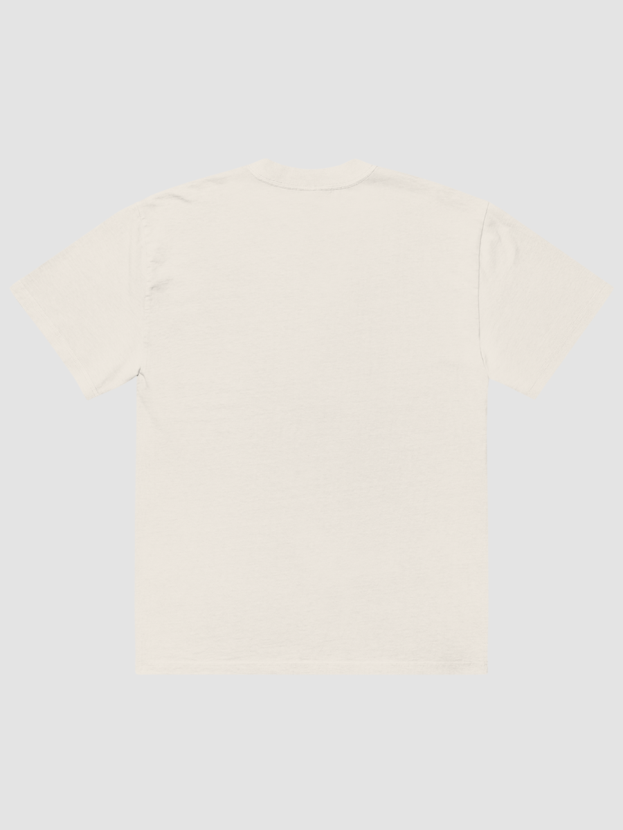 Bookshelf Roast Oversized Faded Tee product image (5)