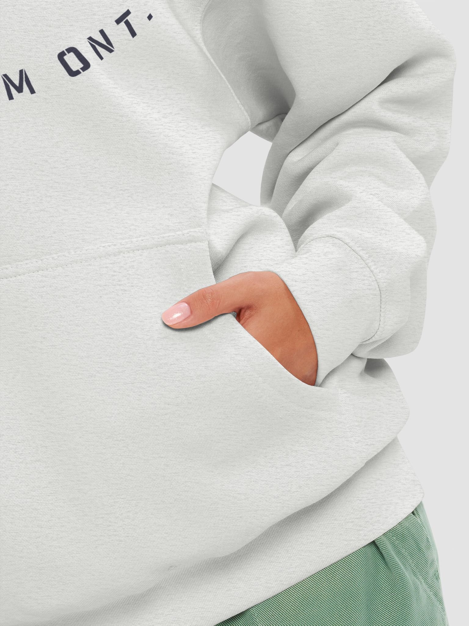 Pelee Islander Premium Hoodie product image (8)