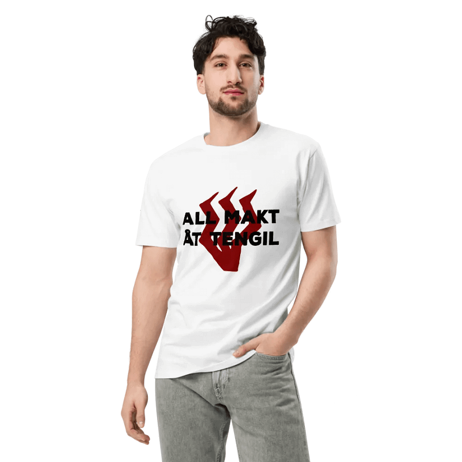 All makt åt Tengil product image (3)
