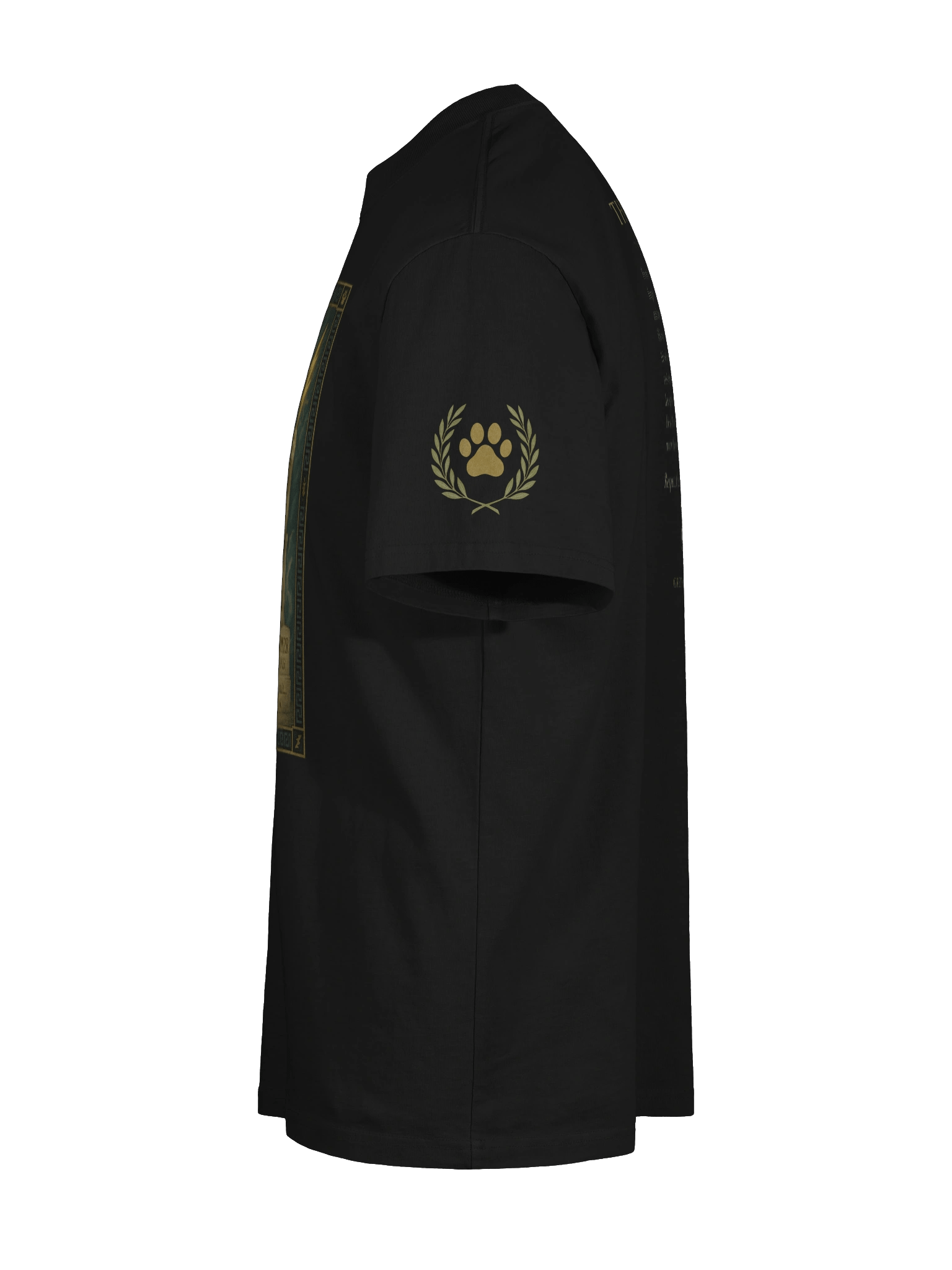 ZEUS THUNDERPURR PREMIUM T-SHIRT product image (10)