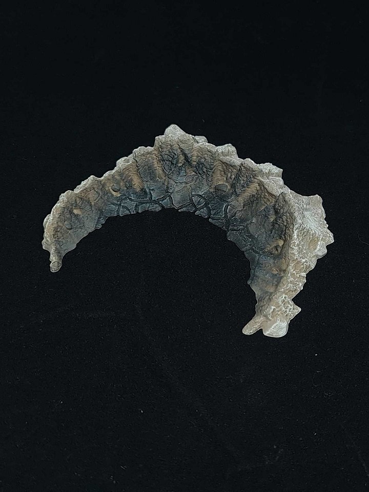 Crater #6 - TWZ product image (2)