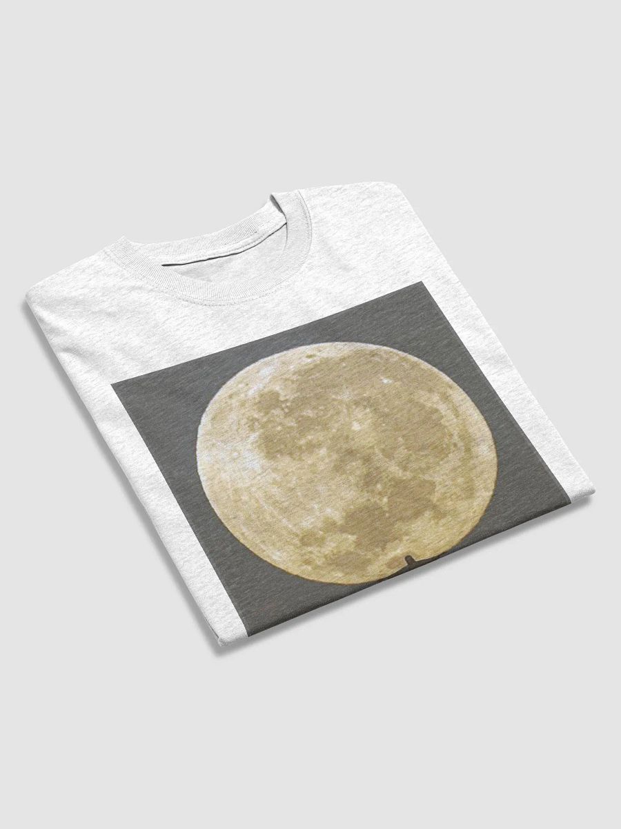 Christ the Redeemer Holding the Moon product image (31)