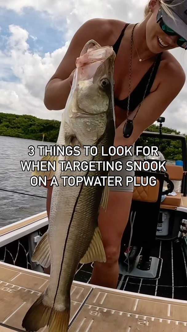 Key in your fishing game🎣🙅🏼‍♀️ We all love those loud obnoxious topwater hits that make the previous 50 casts totally worth i...