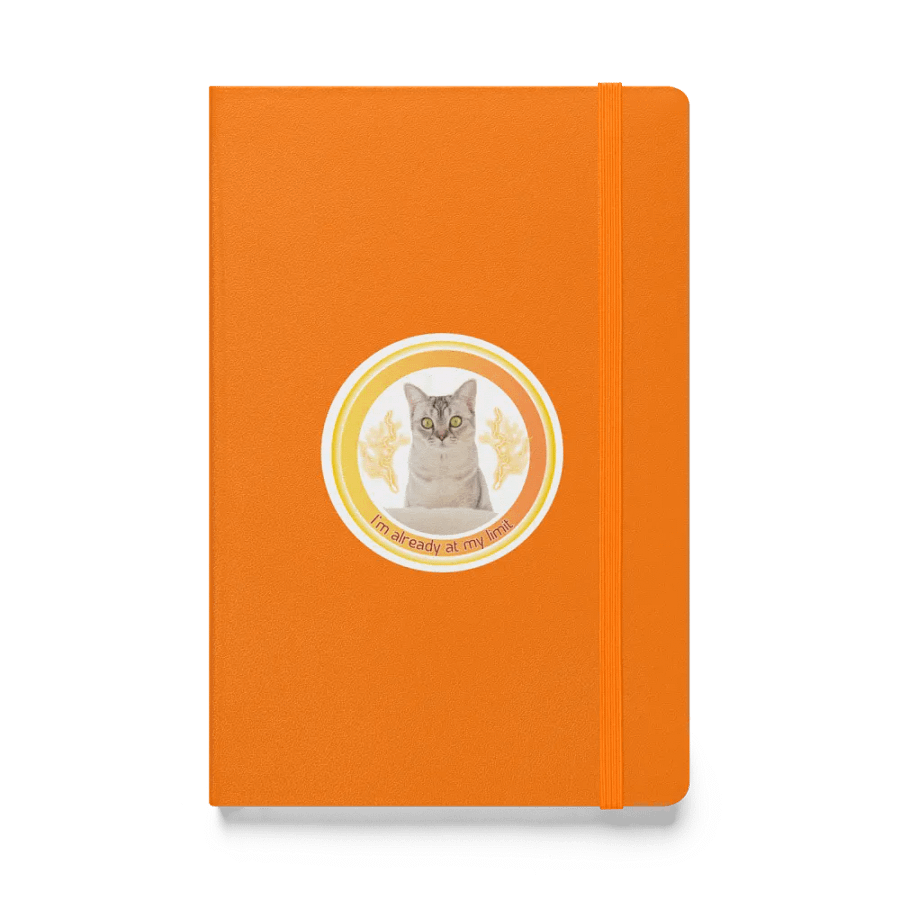 KC, At My Limit (kitty), Journal product image (1)
