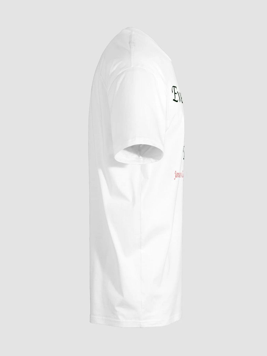 AS Colour Unisex Premium T-Shirt: fate product image (41)