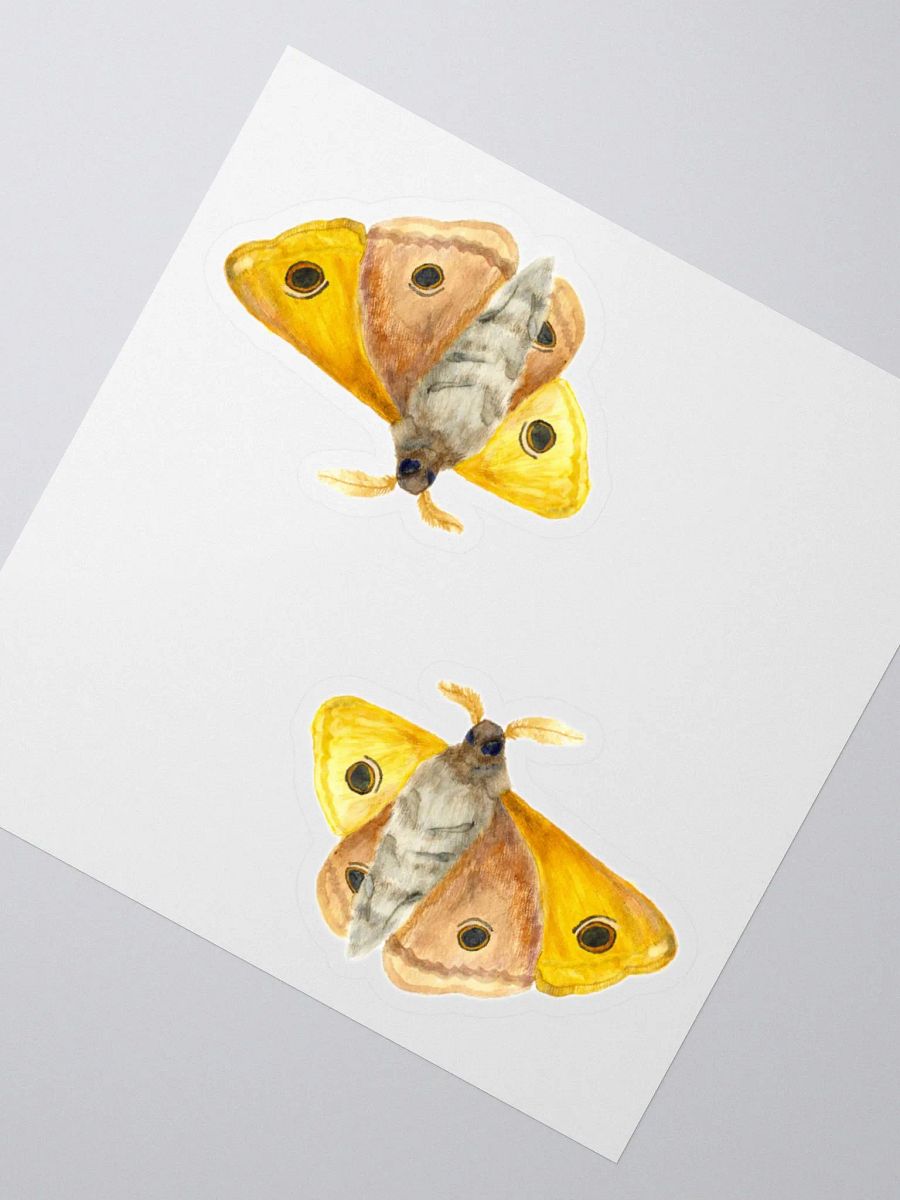Small Emperor Moth Sticker (x2) product image (2)