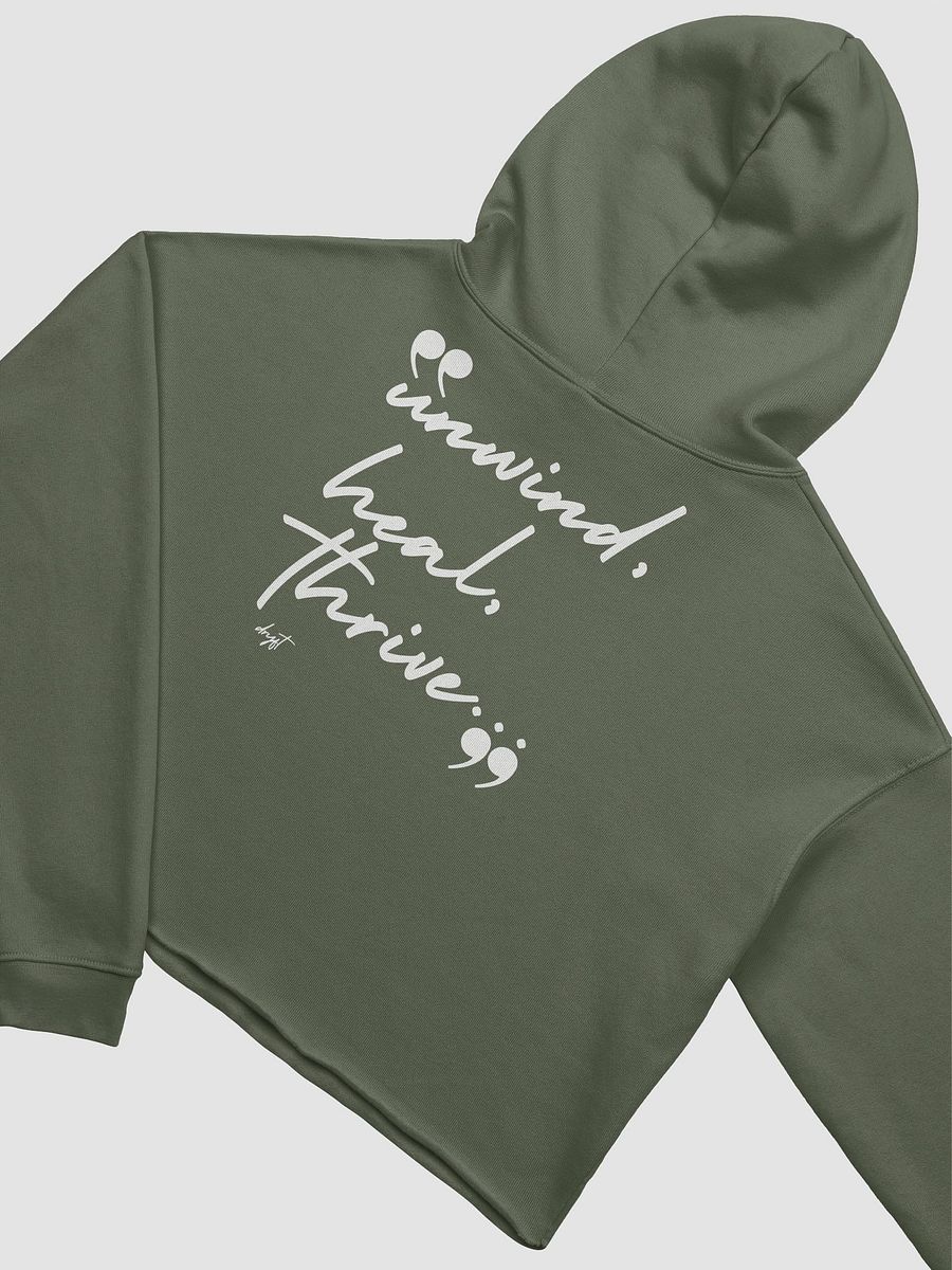DryftCozy Cropped Hoodie product image (4)