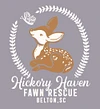 HickoryHavenFawnRescue