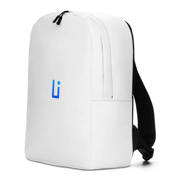 LifeBe Minimalist Backpack (style 1) product image (2)
