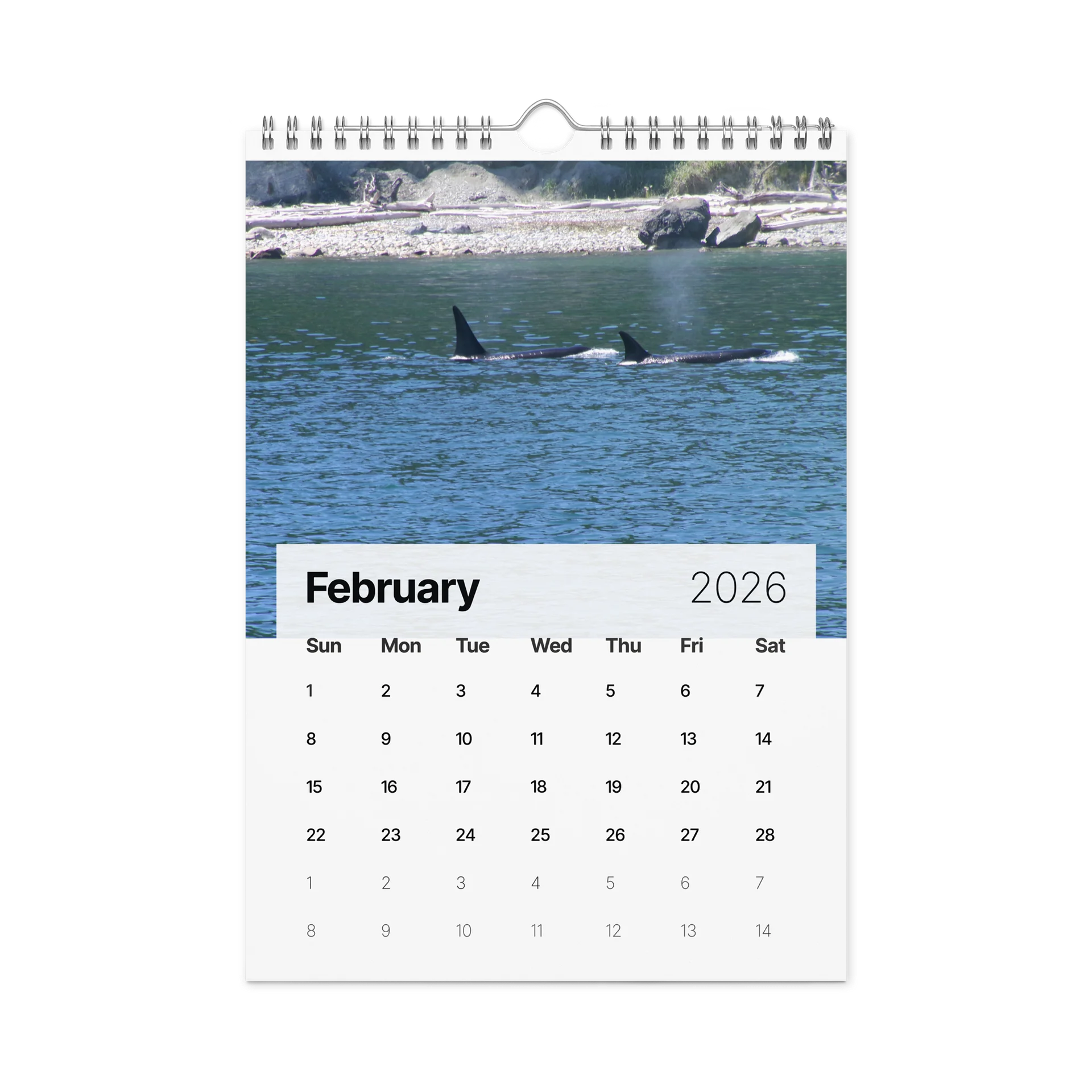 CRAVONE - 2026 Orca Calendar product image (5)