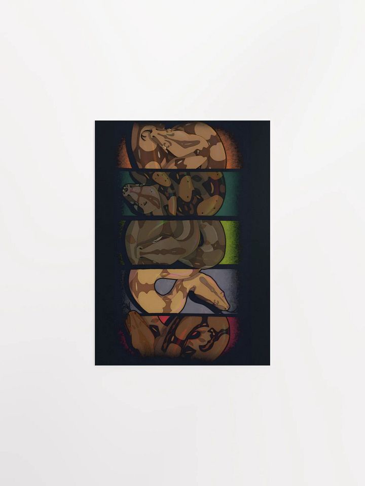 Locality Boas product image (5)