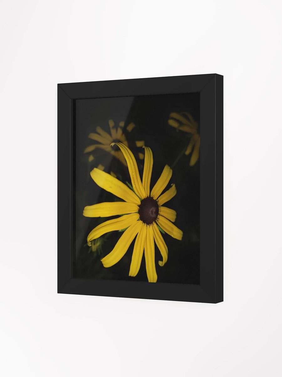 Black-Eyed Susan (Frame) product image (3)